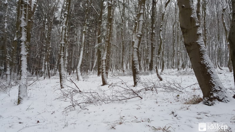 Kőszegi-hegység 2016.03.15.