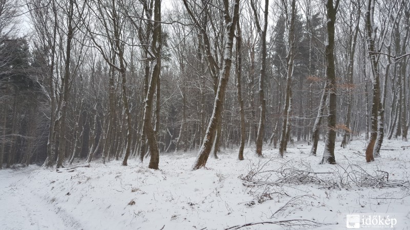 Kőszegi-hegység 2016.03.15.