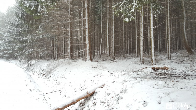 Kőszegi-hegység 2016.03.15.