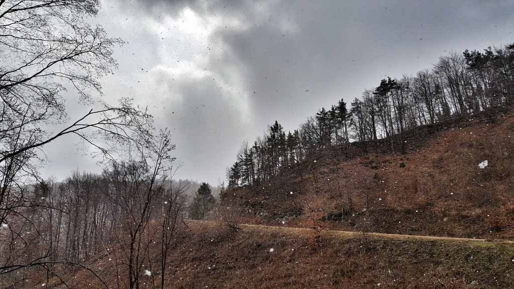 Hózápor a Kőszegi-hegységben 2016.03.15.