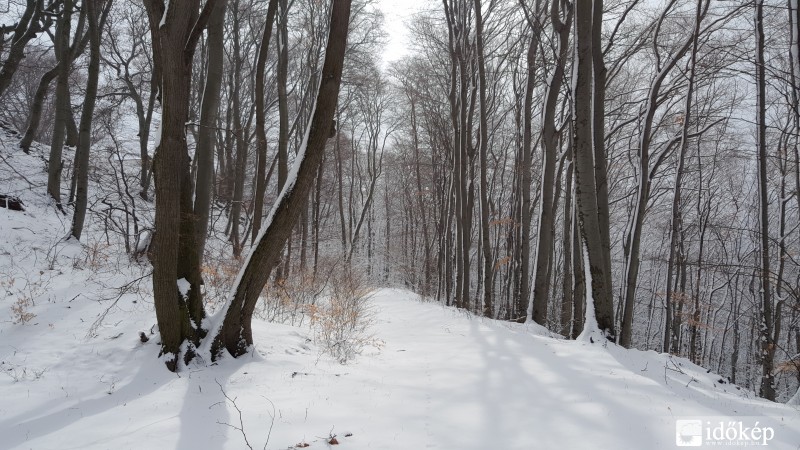 Kőszegi-hegység 2016.03.16. hóvastagság 10-15 cm