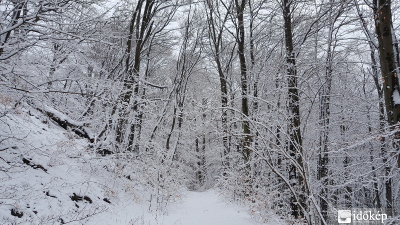 Kőszegi-hegység 2016.03.16. hóvastagság 10-15 cm