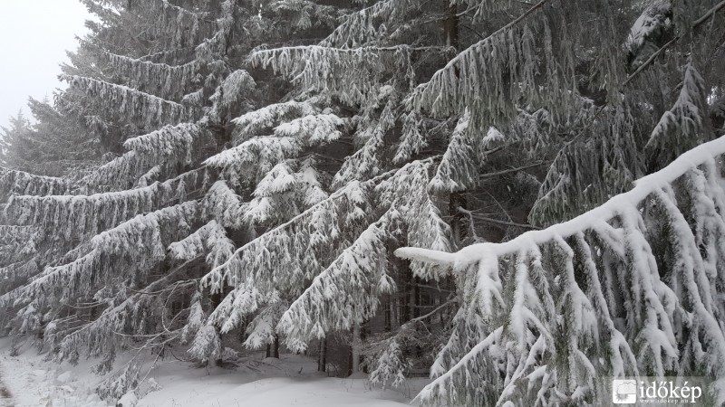 Kőszegi-hegység 2016.03.16. hóvastagság 10-15 cm
