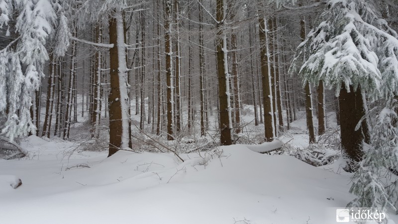 Kőszegi-hegység 2016.03.16. hóvastagság 10-15 cm