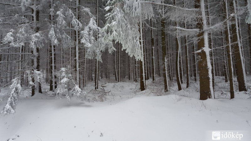 Kőszegi-hegység 2016.03.16. hóvastagság 10-15 cm