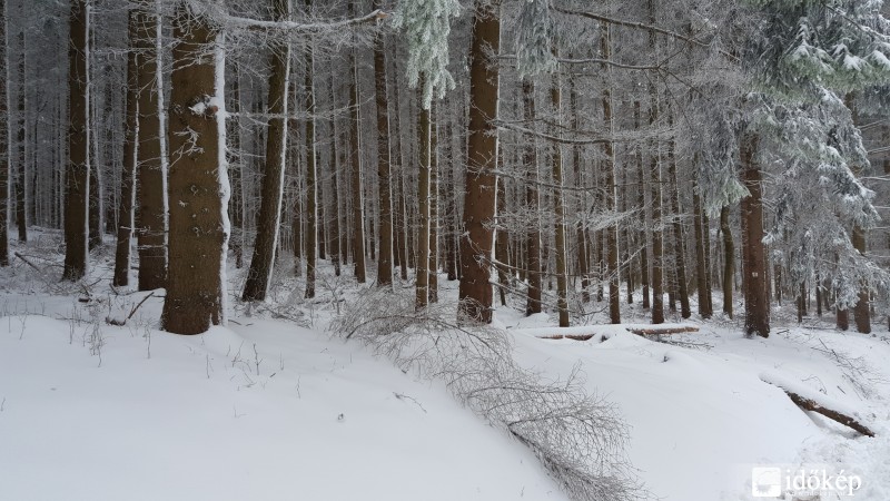 Kőszegi-hegység 2016.03.16. hóvastagság 10-15 cm