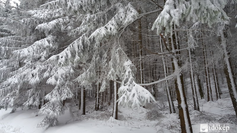 Kőszegi-hegység 2016.03.16. hóvastagság 10-15 cm