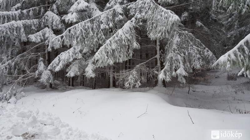 Kőszegi-hegység 2016.03.16. hóvastagság 10-15 cm