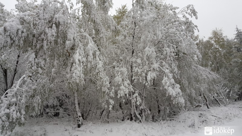 2016.04.27. Kőszegi-hegység