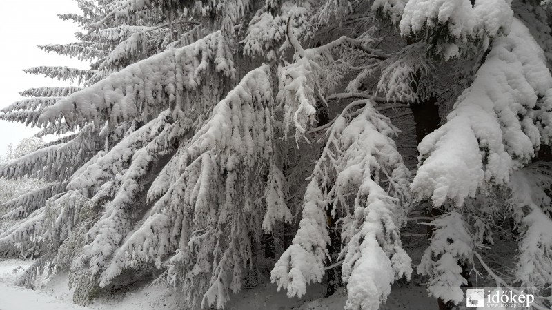 2016.04.27. Kőszegi-hegység