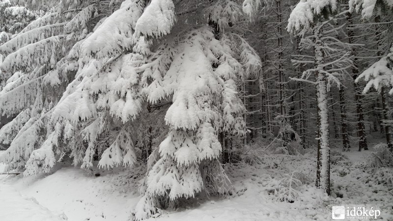 2016.04.27. Kőszegi-hegység