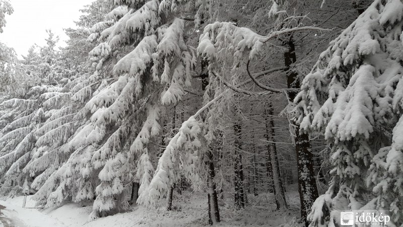 2016.04.27. Kőszegi-hegység
