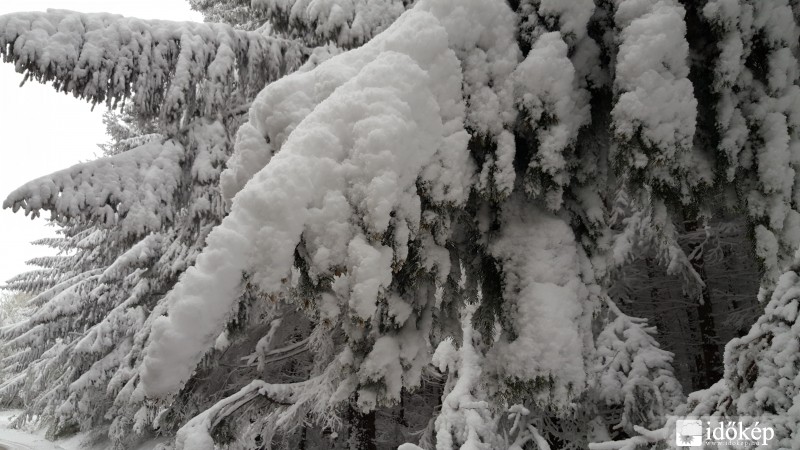 2016.04.27. Kőszegi-hegység