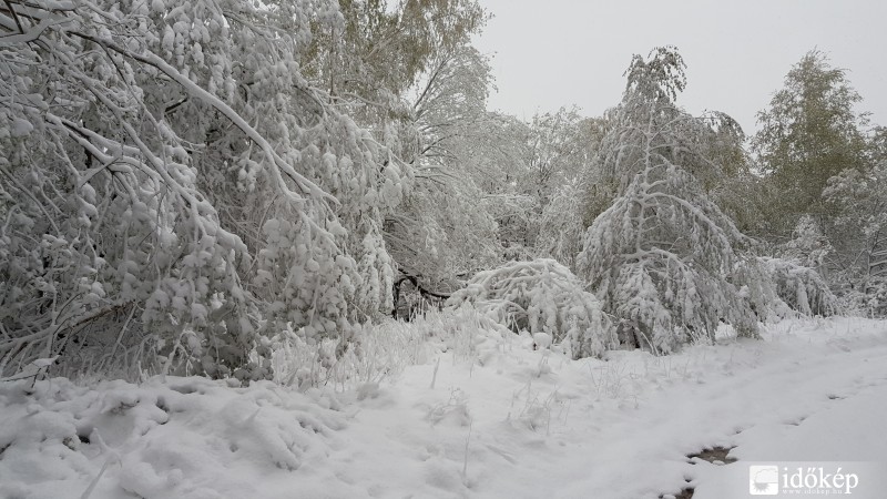 2016.04.27. Kőszegi-hegység