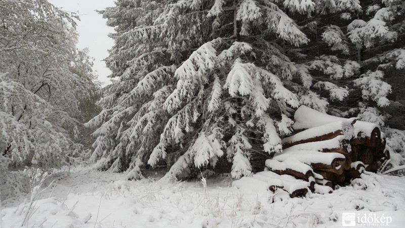 2016.04.27. Kőszegi-hegység
