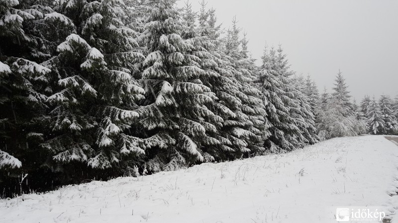 2016.04.27. Kőszegi-hegység