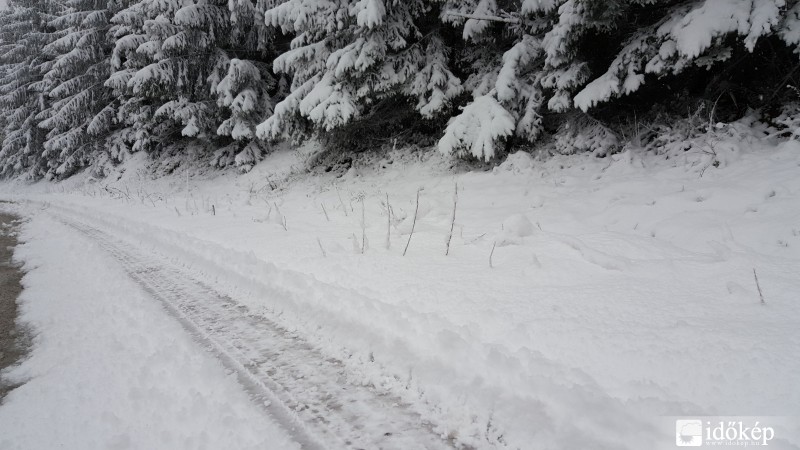 2016.04.27. Kőszegi-hegység