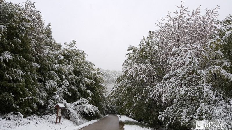 2016.04.27. Kőszegi-hegység
