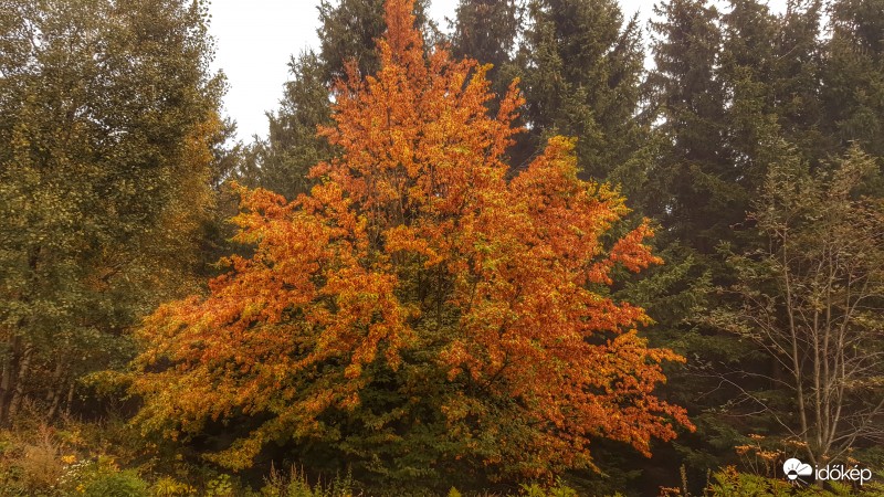 Kőszegi hegység 2016.10.07.