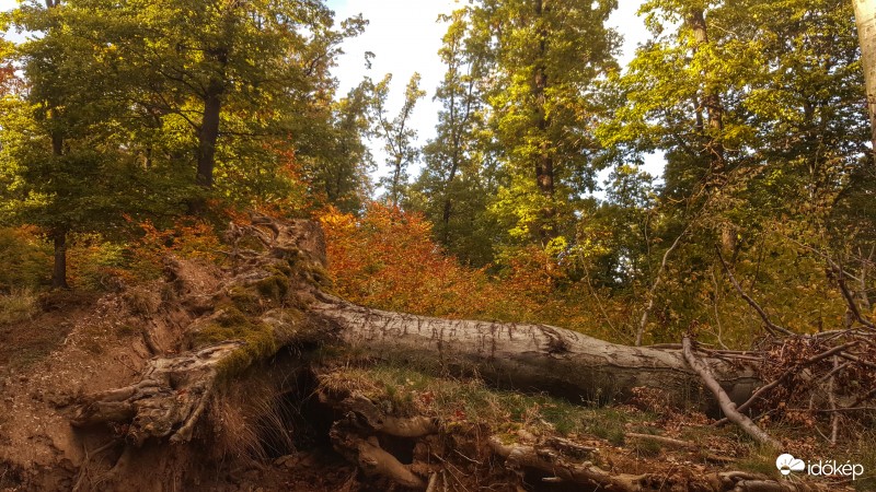 2016.10.09. Kőszegi hegység