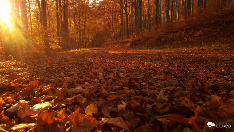 Kőszegi hegység 2016.10.31. 