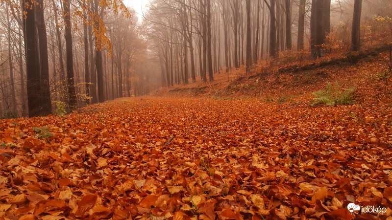2016.11.06. Kőszegi-hegység