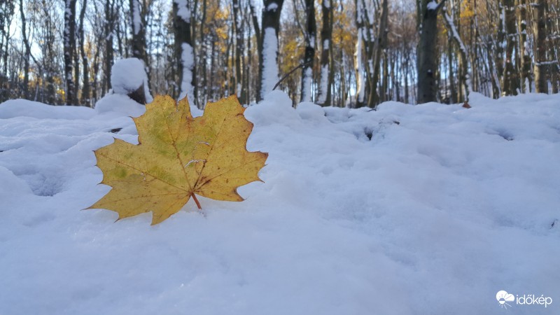 Tél az őszben 2016.11.09.
