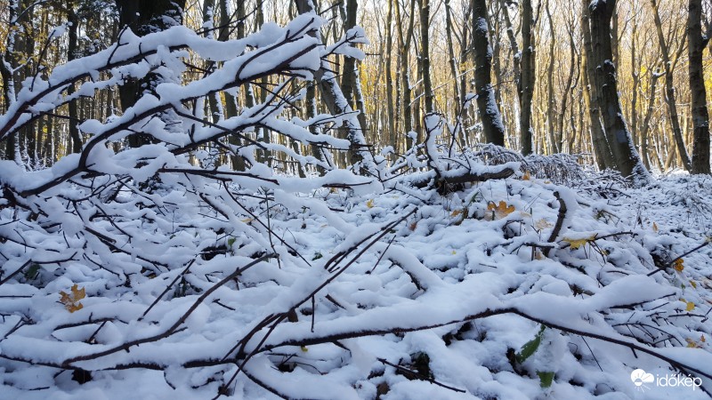 Tél az őszben 2016.11.09.