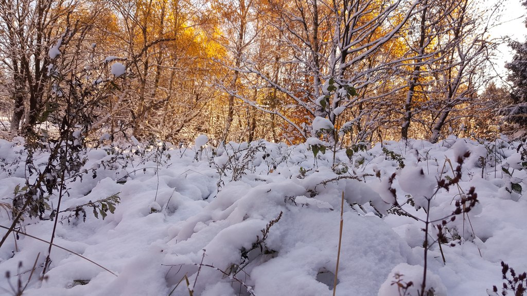 Tél az őszben 2016.11.09.