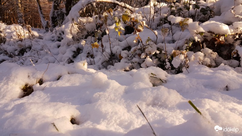 Tél az őszben 2016.11.09.
