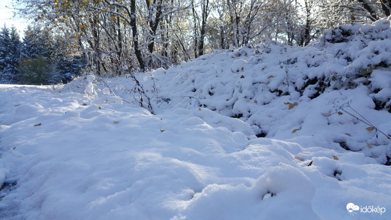 Tél az őszben 2016.11.09.