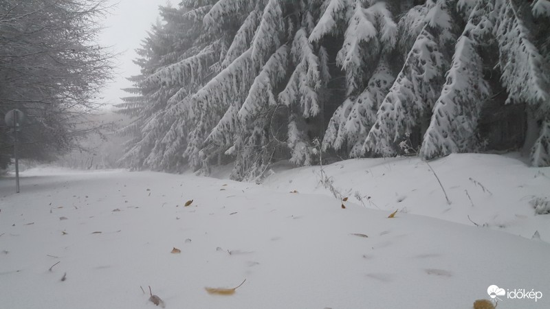 A képek 700 méter magasban készültek, erős havazás és hófúvás fogadott minket.  16 cm friss hó hullott reggel fél 8-ig