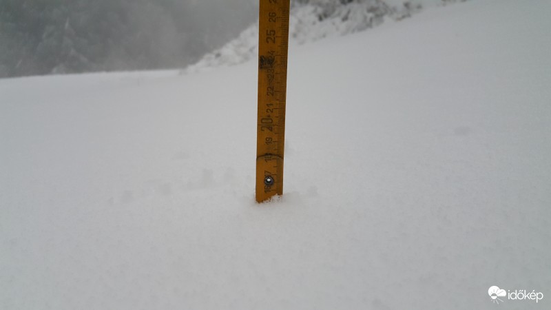 A képek 700 méter magasban készültek, erős havazás és hófúvás fogadott minket.  16 cm friss hó hullott reggel fél 8-ig