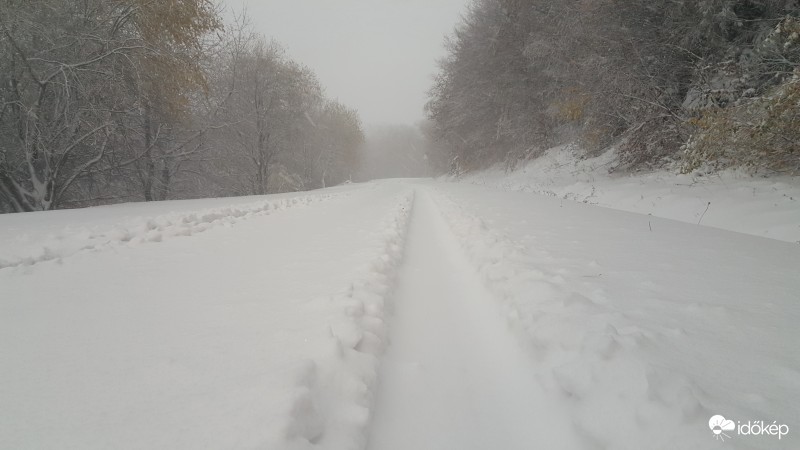 A képek 700 méter magasban készültek, erős havazás és hófúvás fogadott minket.  16 cm friss hó hullott reggel fél 8-ig