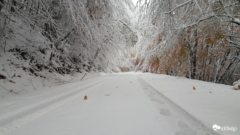 A képek 700 méter magasban készültek, erős havazás és hófúvás fogadott minket.  16 cm friss hó hullott reggel fél 8-ig