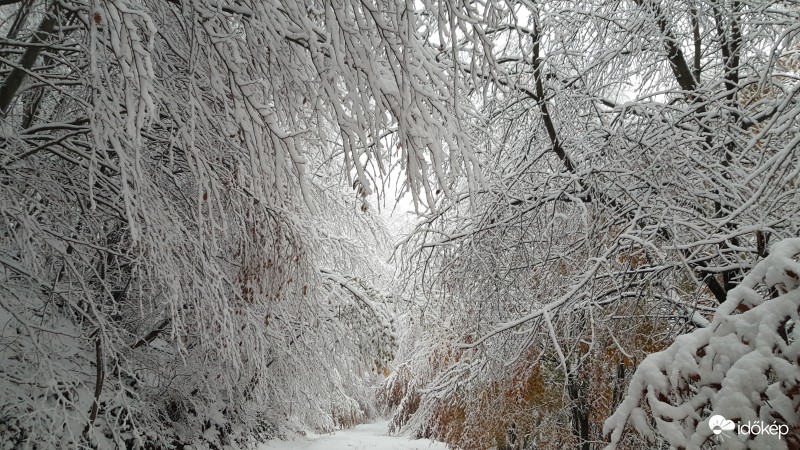A képek 700 méter magasban készültek, erős havazás és hófúvás fogadott minket.  16 cm friss hó hullott reggel fél 8-ig