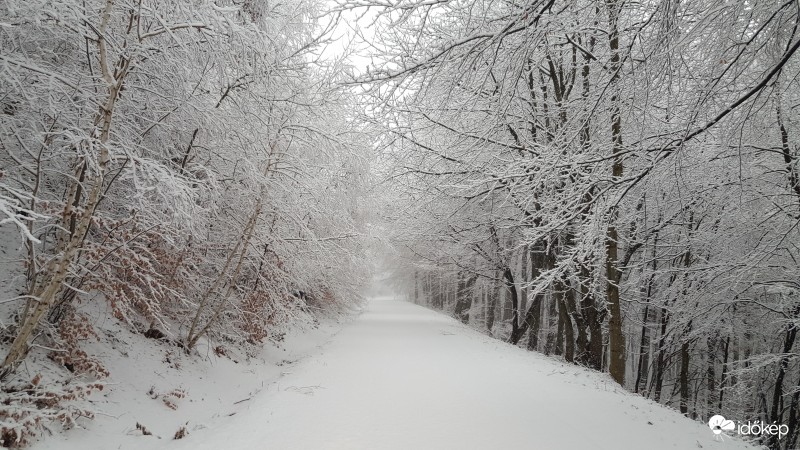 2016.12.28. Kőszegi-hegység