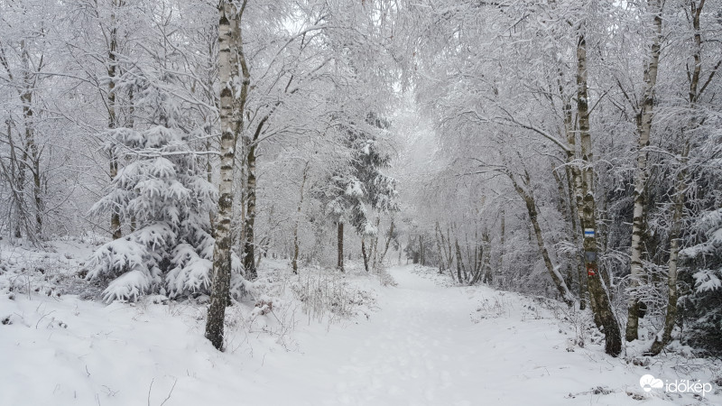 2018.01.14. Kőszegi-hegység
