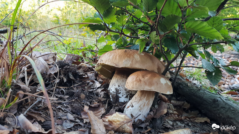 Kőszegi hegység 2018.09.12.