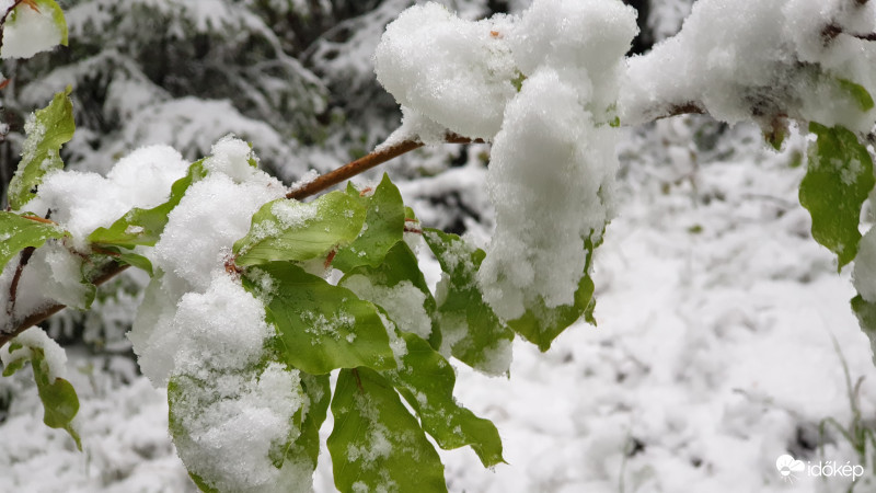 Kendig csúcs 2019.05.06.