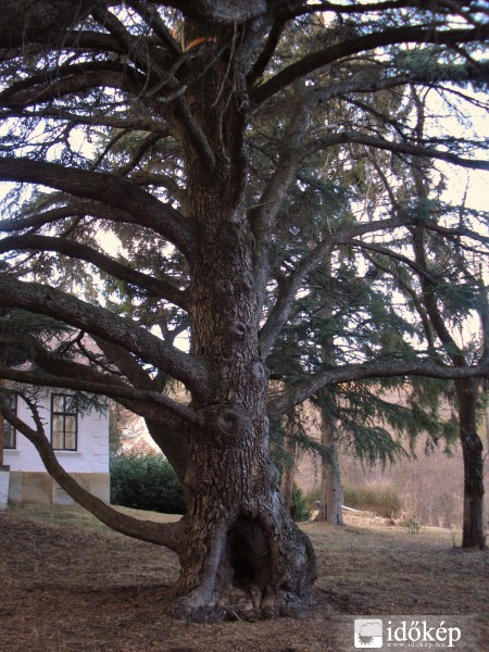 A kőszegi hegységben