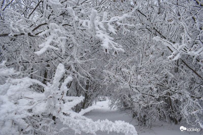 Havas, zúzmarás táj az Írott-kőről 2017.02.11.