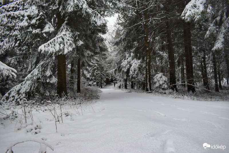 Írott-kő Kőszeg 2017.03.01. Hóvastagság átlagosan 5-10 cm Friss reggeli képek a helyszínről.