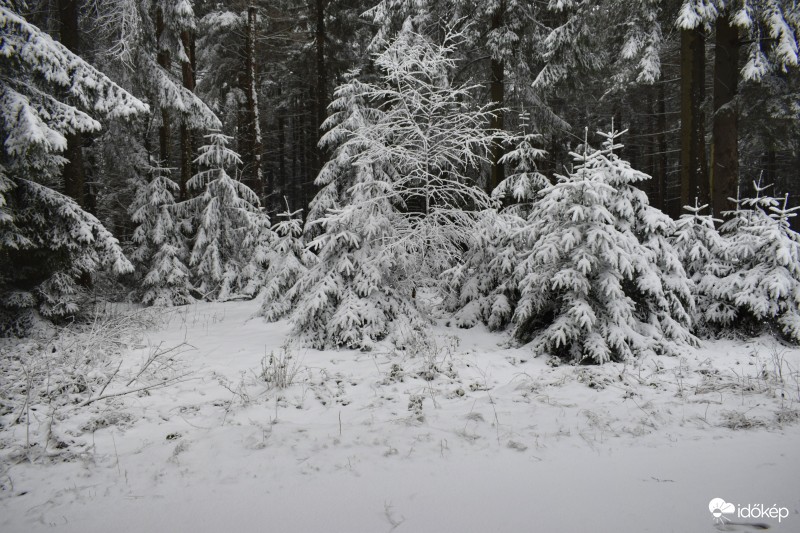 Írott-kő Kőszeg 2017.03.01. Hóvastagság átlagosan 5-10 cm Friss reggeli képek a helyszínről.