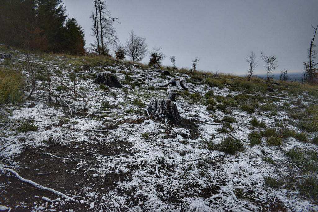 Kőszegi-hegység 2017.11.13.