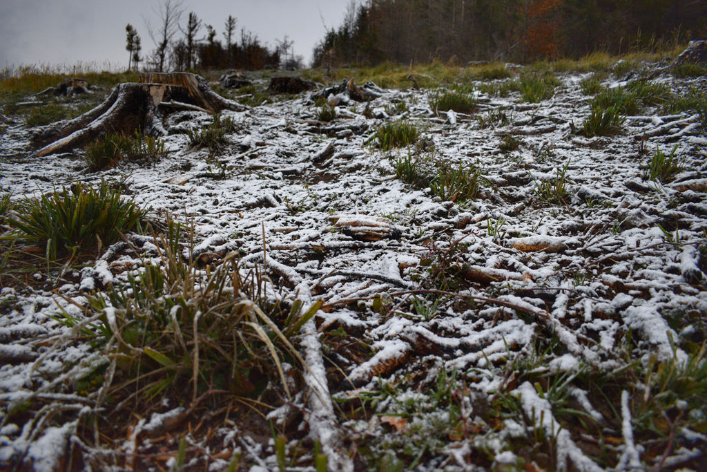 Kőszegi-hegység 2017.11.13.