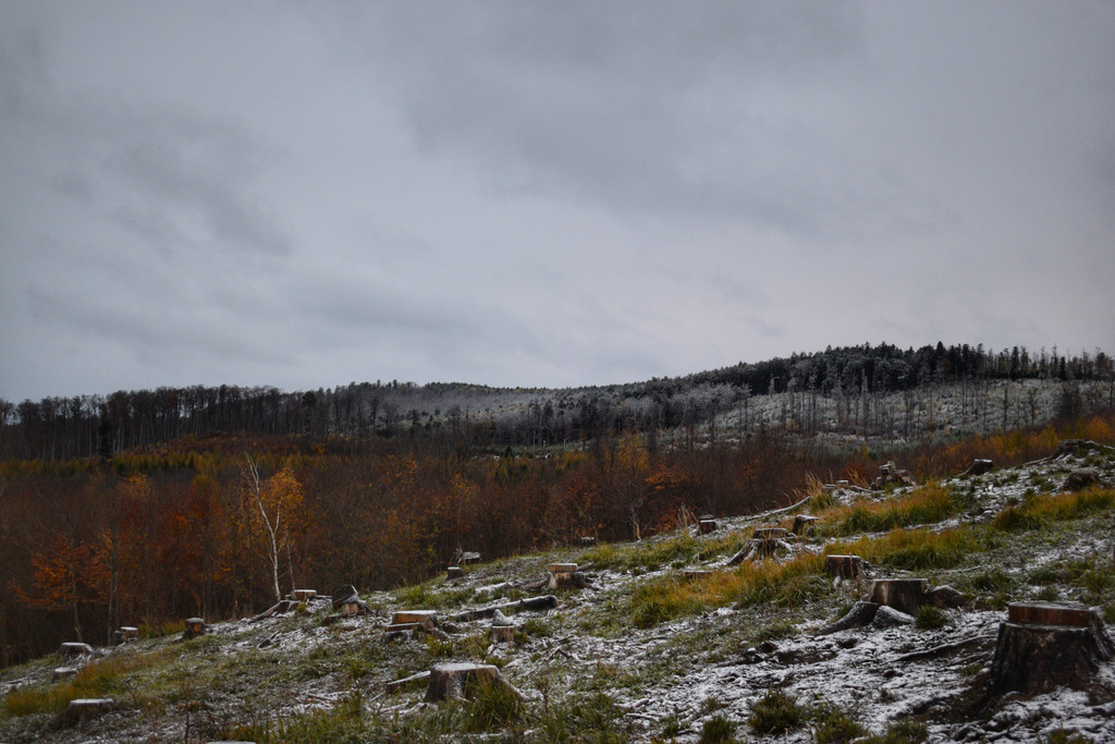 Kőszegi-hegység 2017.11.13. hóhatár 700 méter