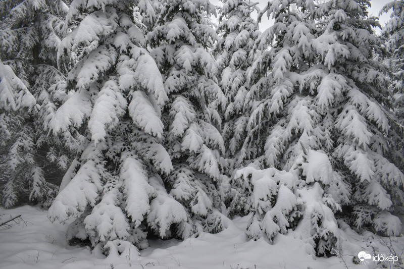 Írott-kő Kőszeg 2017.11.30.