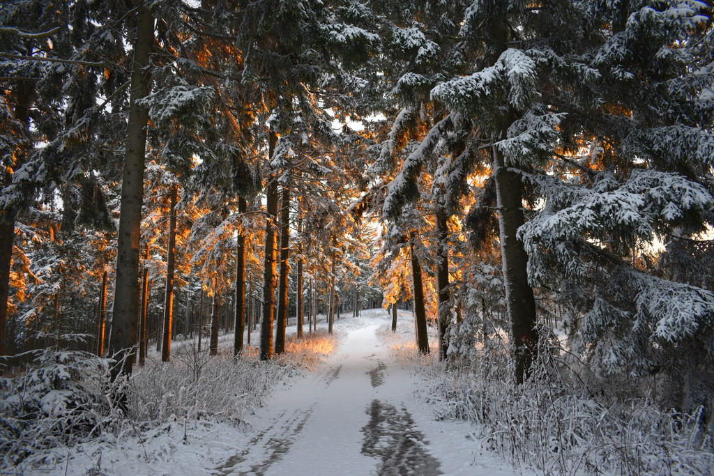 Kőszegi-hegység 2017.12.29.