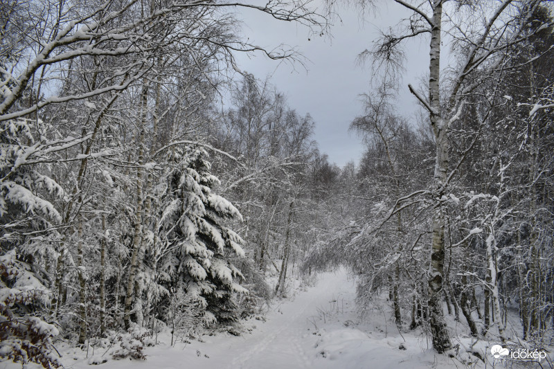 Kőszegi-hegység 2017.12.29.
